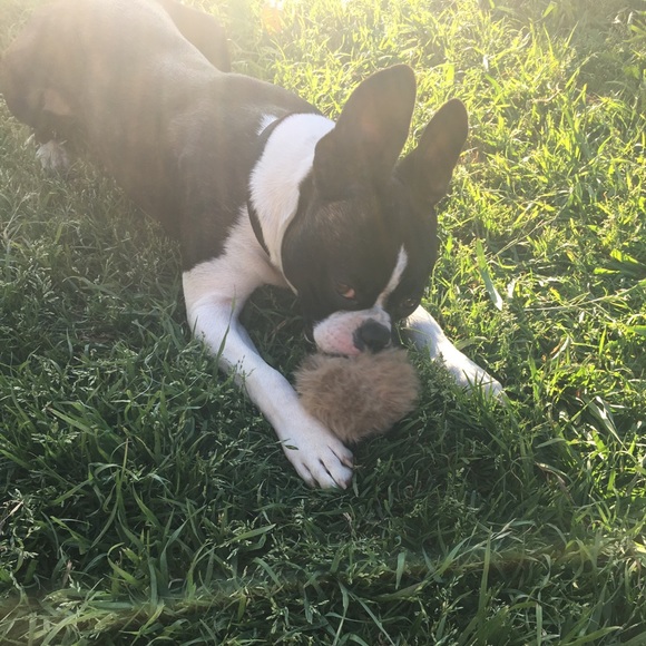 Hi ππΈ - Picture 5 of 7